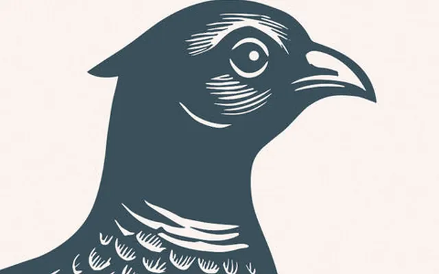Pheasants Hill Farm official website image