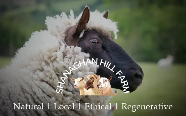 Shanaghan Hill Farm official website image